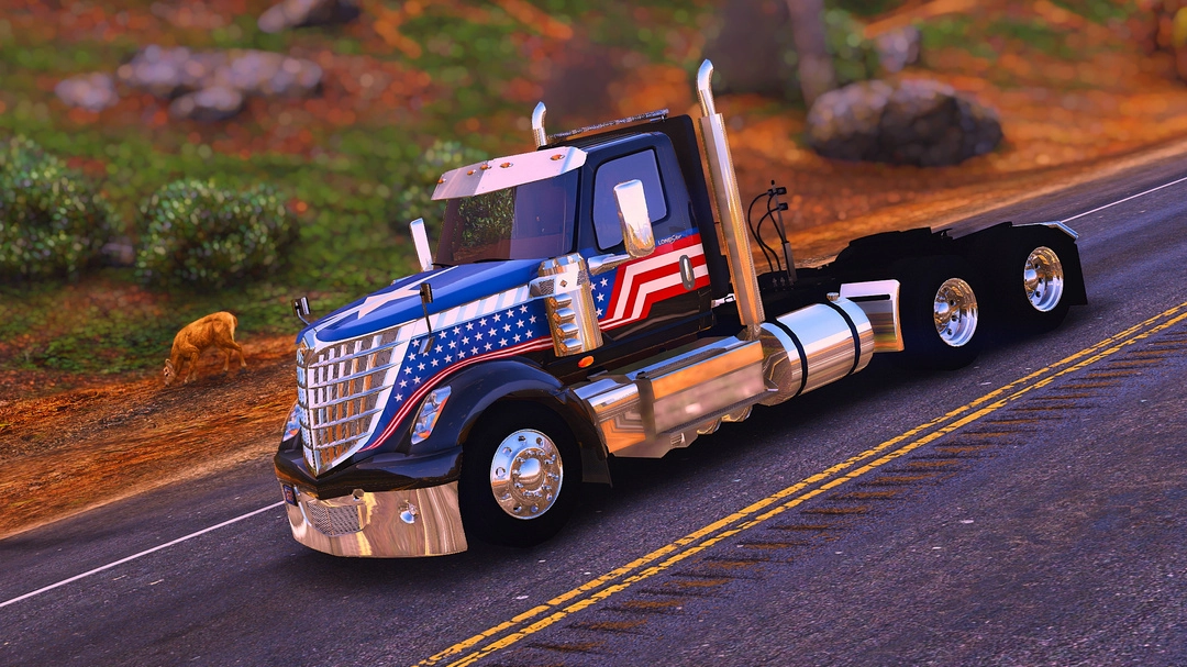 2020 International LoneStar! - BaggedCustoms - image 4